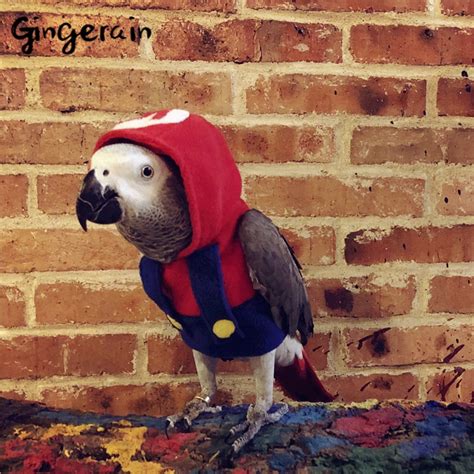 Gingerain Bird Clothes Parrot Clothes Super Marie Original Hand Made
