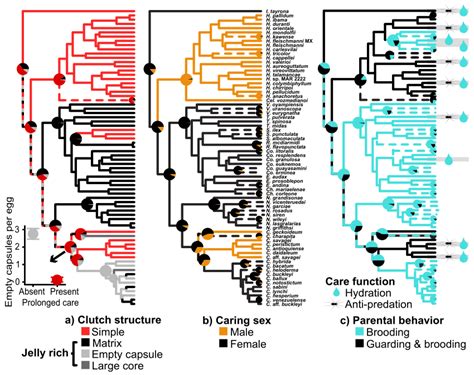 Phylogenetic Trees Showing The Distributions And Reconstructed