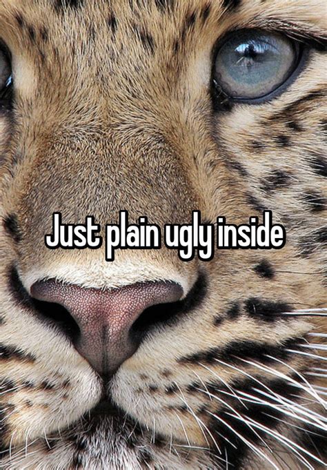 Just Plain Ugly Inside