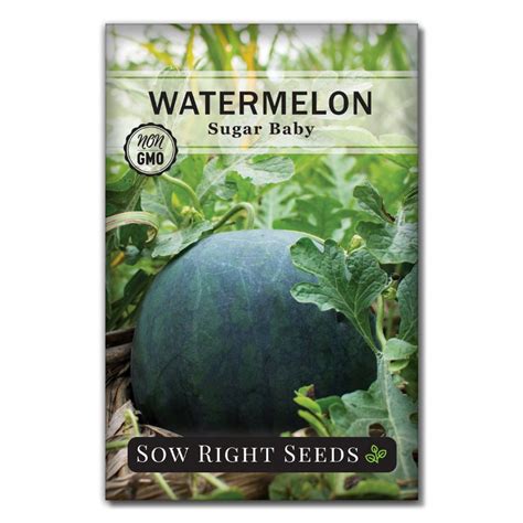 Sugar Baby Watermelon Seeds For Planting Compact Variety Sow Right