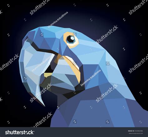 Colorful Parrot Head Visual Identity Low Stock Vector Royalty Free