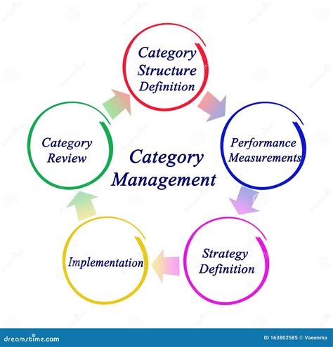 Stages Of Category Management Stock Illustration Illustration Of 977