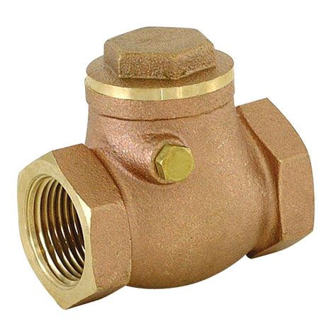 Everbilt 2 In Abs Heavy Duty Sewage Pump Check Valve Thd1026 The