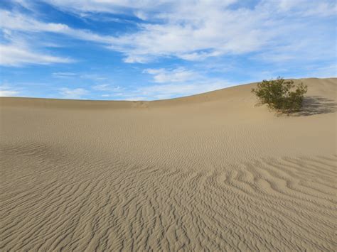 Free Images Landscape Sand Desert Dune Material Grassland