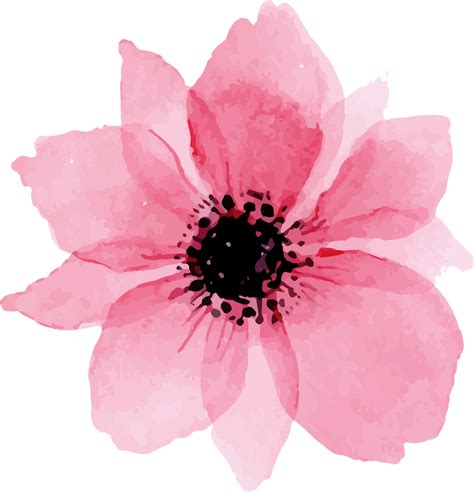 Watercolor Painting Watercolour Flowers Art Pink Flowers Flower Png