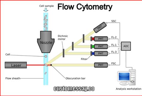What Is The Flow Cytometry