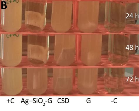 Turbidity Assays Showing The Clear Prolonged Growth Inhibition Of MRSA Download Scientific