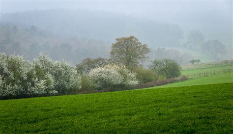 Hitchwood Forest Hertfordshire 2019 04 07 020 Uk Landscape Photography