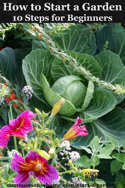 How to Start a Garden – 10 Steps to Gardening for Beginners