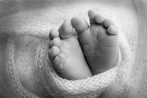 Soft Feet Of A Newborn In A Blanket Close Up Of Toes Heels And Feet Of