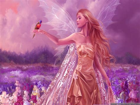 Beautiful Angel And Bird Animal Hd Wallpaper Widescreen