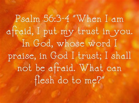 The bible is a compilation of many shorter books written at different times by a variety of authors. CATHOLIC BIBLE QUOTES ON STRENGTH AND COURAGE image quotes ...