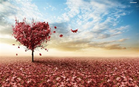 Heart Shaped Tree Wallpapers Wallpaper Cave