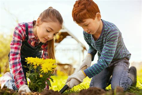 Positive Pleasant Children Working Together Stock Photo Image Of