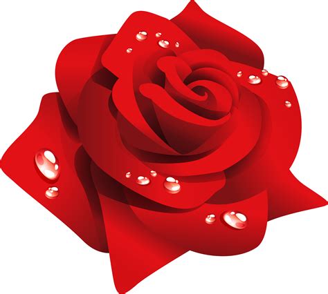 Transparent Red Rose Clip Art Red Rose Flower Png Full Size Clipart 4118590 Pinclipart