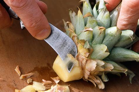 How To Grow Pineapples Bbc Gardeners World Magazine