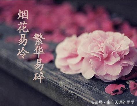 Maybe you would like to learn more about one of these? 煙花易冷，人事易分 - 每日頭條