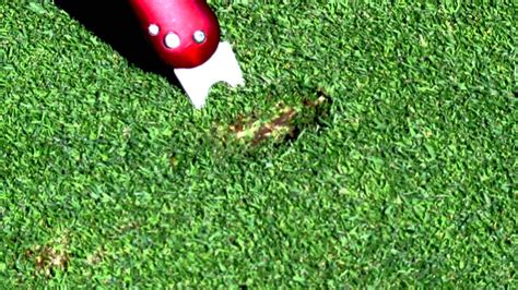 How To Properly Repair A Golf Ball Mark Or Divot On The Green Youtube