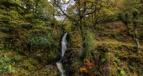 Images England Dockray Crag Nature Waterfalls Moss Trees