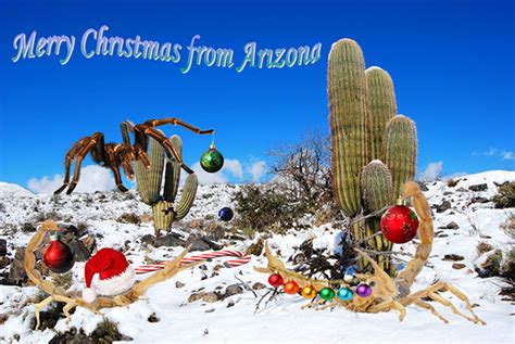 Merry Christmas From Arizona On Behance