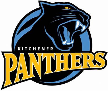 Team Logos Sports Panthers Baseball Kitchener Sportslogos