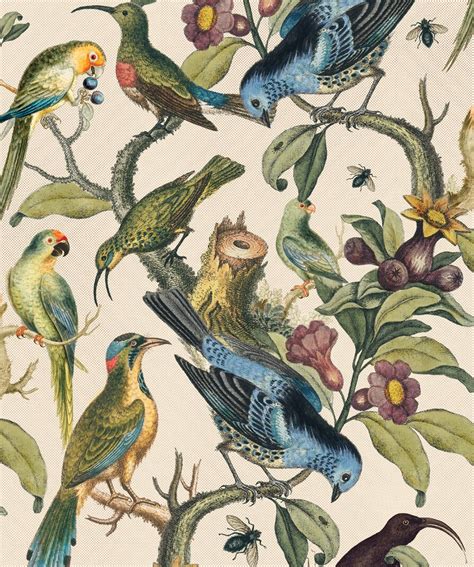 Ornithology Wallpaper Bird And Branch Design Milton And King