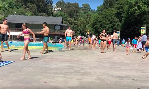 Swimmers Flee Berkeley Pool Due To Fecal Contamination
