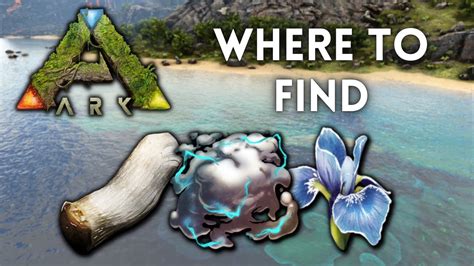 Fungal Wood Rare Flowers And Biotoxin Where To Find On Ark Lost