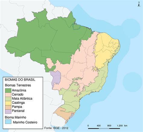 No Mapa Estão Representados Os Biomas Brasileiros ENSINO