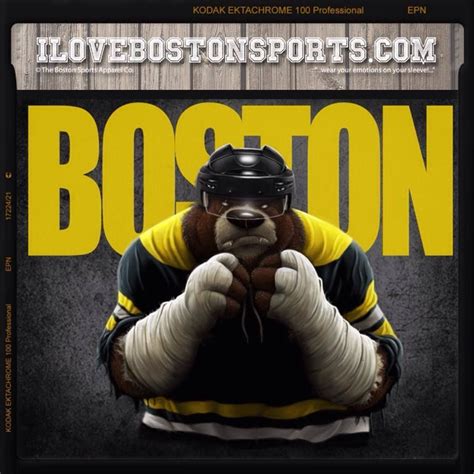 Bear Bruins Boston Bruins Bruins Boston