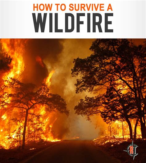 Wildfire Preparedness How To Survive Ready Tribe