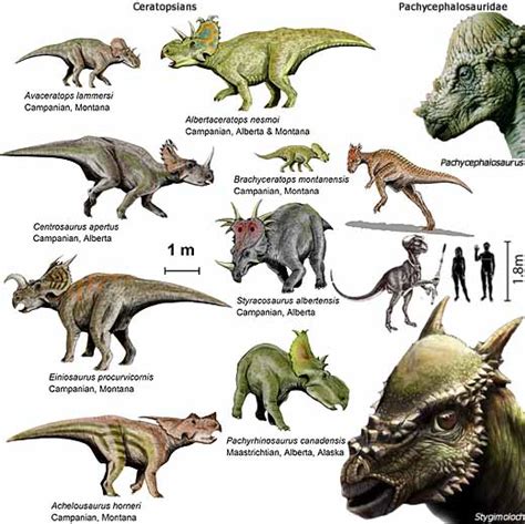 Виды Динозавров Фото С Названиями