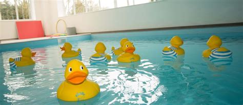 Pool Providers Puddle Ducks Puddle Ducks