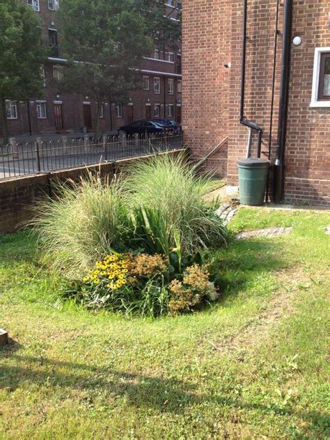 Learn how to build your own this step will make future maintenance of your rain garden easier. Sustainable Drainage Systems - Thames21