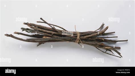 Bunch Of Dry Twigs Tied Together In Middle Stock Photo Alamy