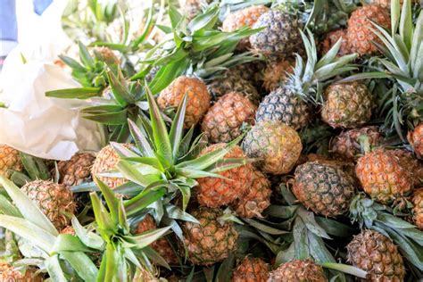 Pile Of Organic Pineapple At The Market Stock Image Image Of