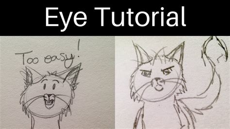 How To Draw Cartoon Animal Eyes Youtube