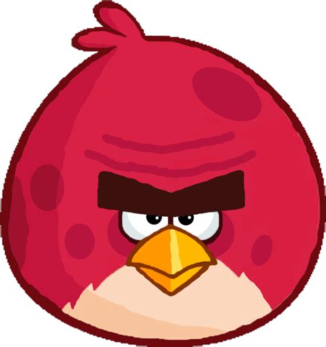 Angry Birds Drawing Video Drawing Ideas