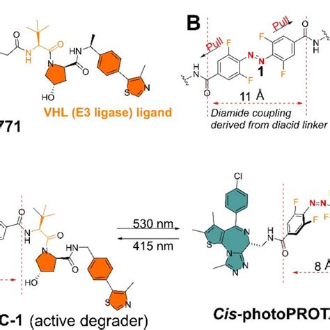 A Arv 771 Bet Protein Degrader Displaying The Distance Of 11 Å