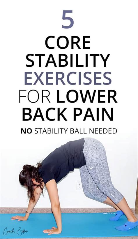 Best Core Stability Exercises For Lower Back Pain Exercisewalls