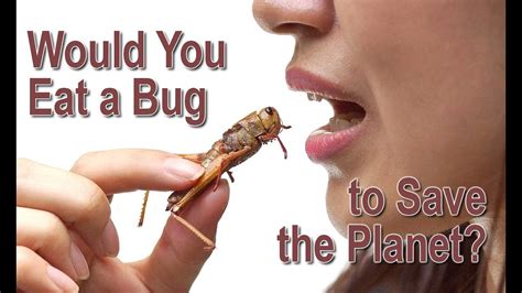 Would You Eat A Bug To Save The Planet Youtube