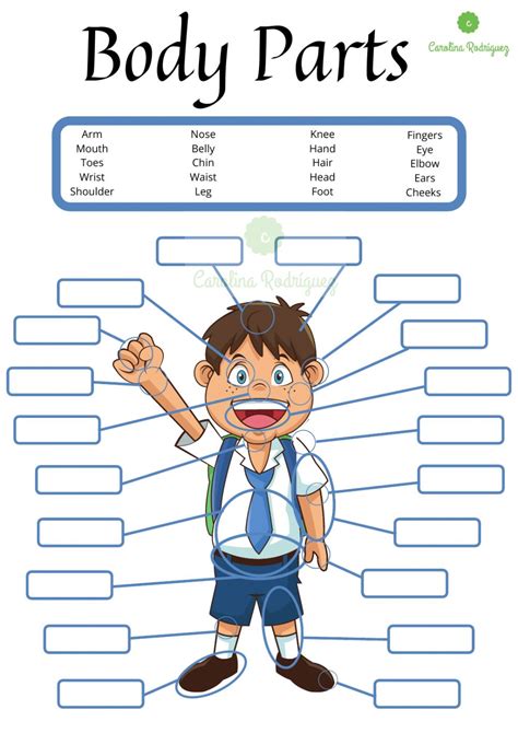 Body Parts Elementary Worksheet : parts of the body in a reading test ...