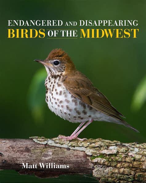 Endangered And Disappearing Birds Of The Midwest 2018 Foreword Indies