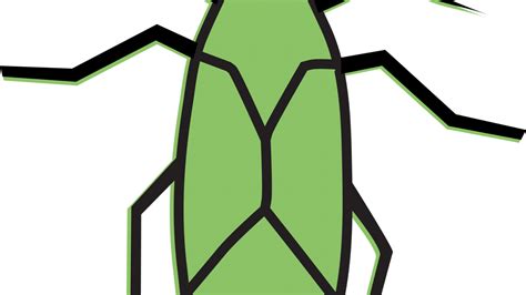 Structural pest control board operator branch 2 examination resources. How to ward off household pests and when to hire a pest ...