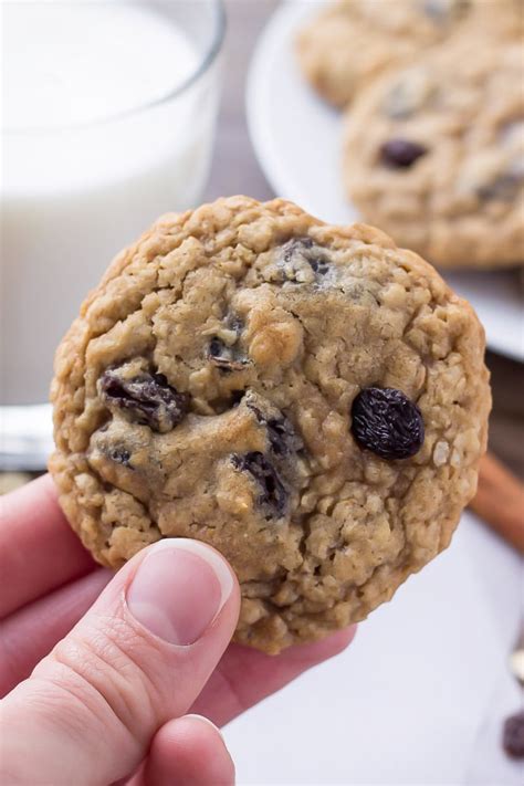 Our 15 Low Fat Oatmeal Raisin Cookies Ever Easy Recipes To Make At Home