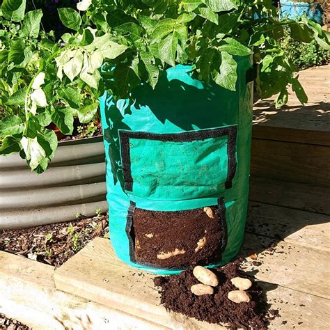 Potato Grow Bag The Seed Collection