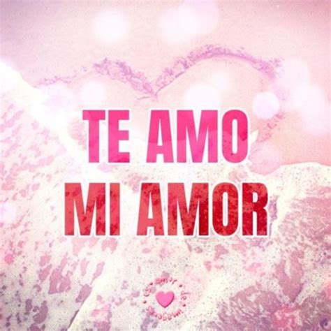 La Mejores Frases Mensajes E Imágenes De “te Amo”