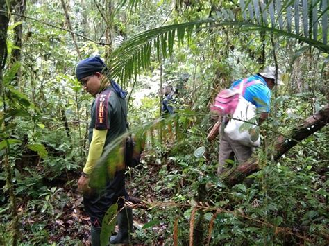Melaksanakan Patroli Pengamanan Hutan Bersama Dengan Mmp Di Resort 4