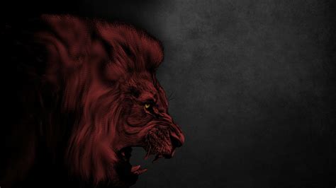 Lion Hd Wallpaper By Stello