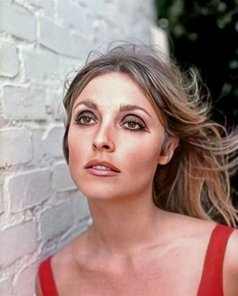 Sharon Tate Photographed By Curt Gunther 1967 Sharon Tate Makeup Looks Beauty
